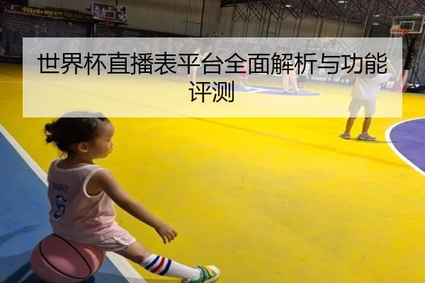 世界杯直播表平台全面解析与功能评测