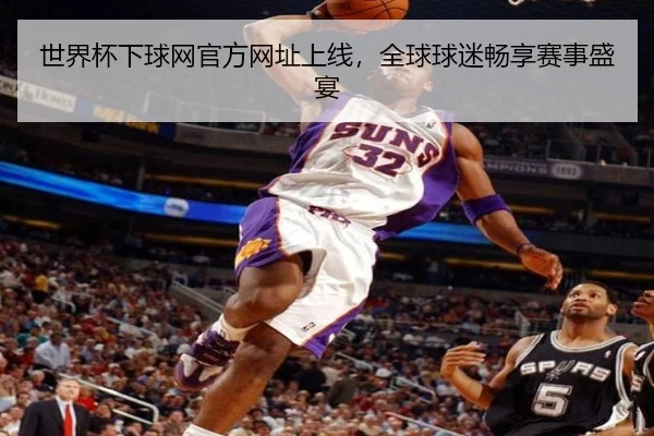世界杯下球网官方网址上线，全球球迷畅享赛事盛宴