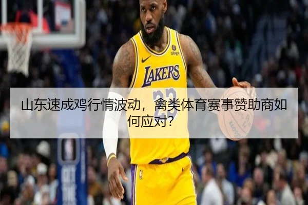 山东速成鸡行情波动，禽类体育赛事赞助商如何应对？