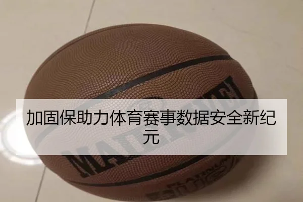加固保助力体育赛事数据安全新纪元