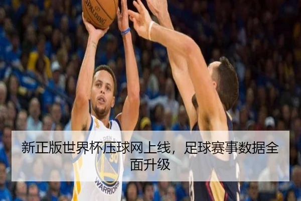 新正版世界杯压球网上线，足球赛事数据全面升级